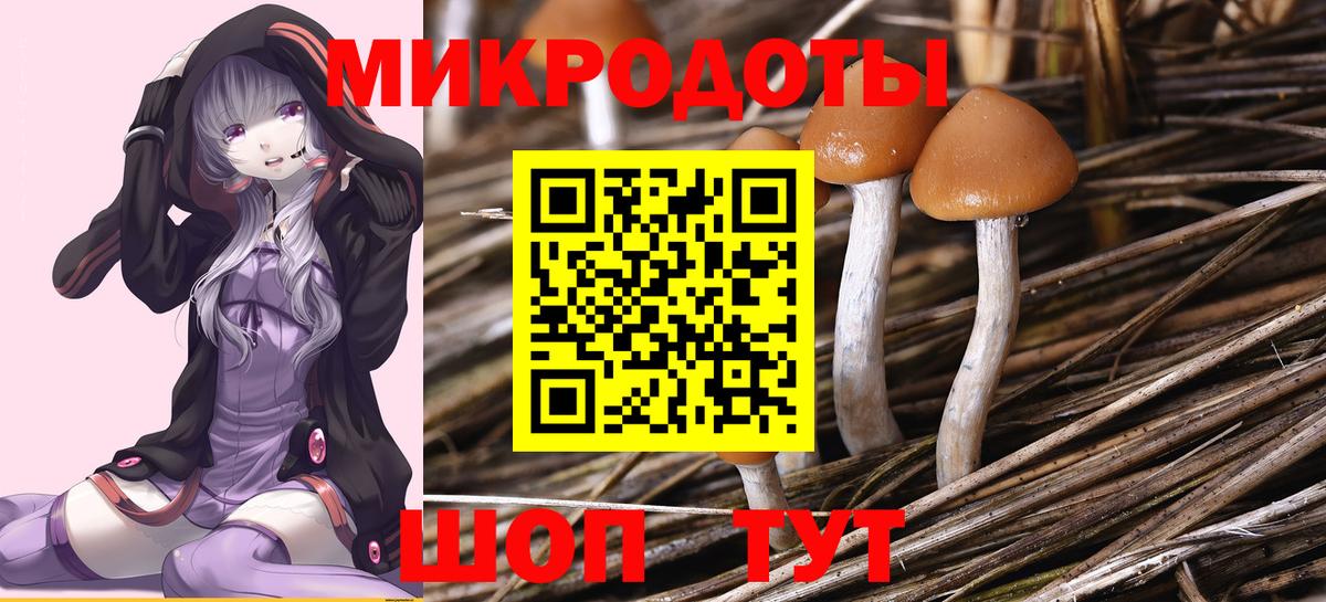 Галлюциногенные грибы Вышний Волочёк